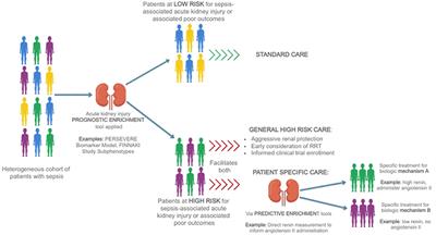 A Precision Medicine Approach to Biomarker Utilization in Pediatric Sepsis-Associated Acute Kidney Injury